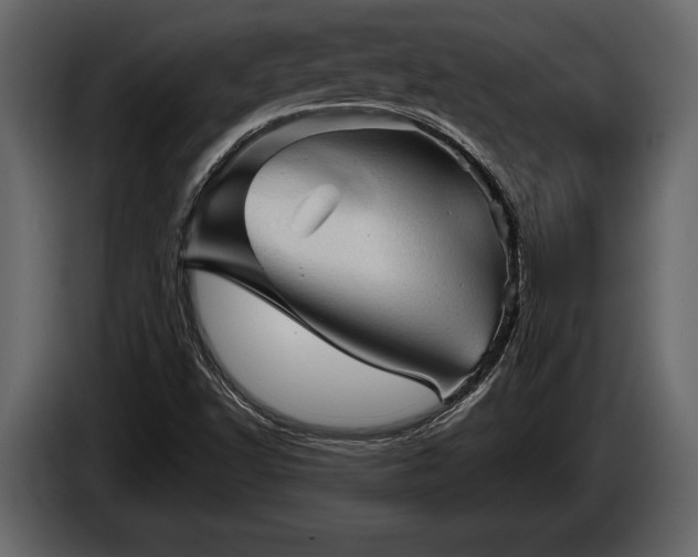 X0000085771502200703231212