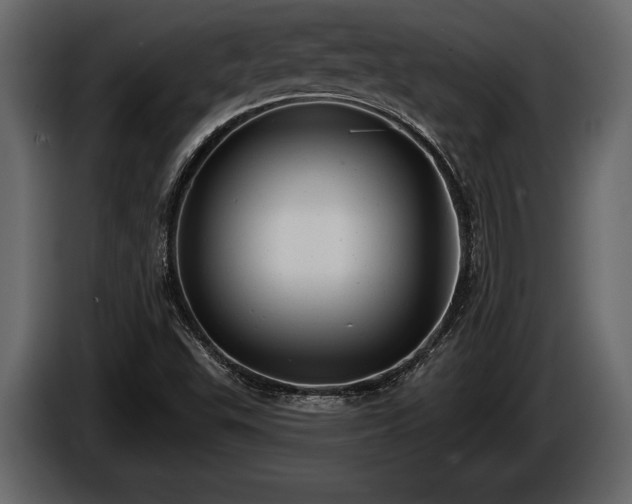 X0000085771503200703231212