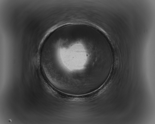 X0000085771506200703231212