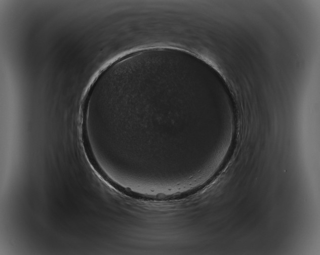 X0000085771508200703231212