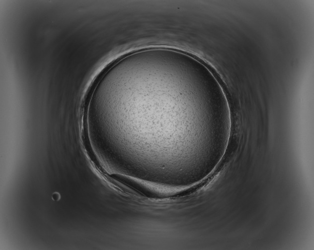 X0000085771511200703231212