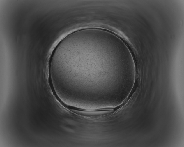 X0000085771512200703231212