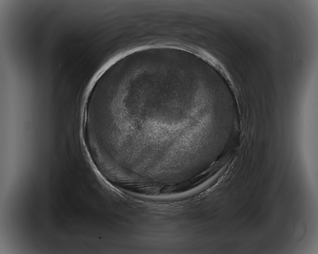 X0000085771520200703231212