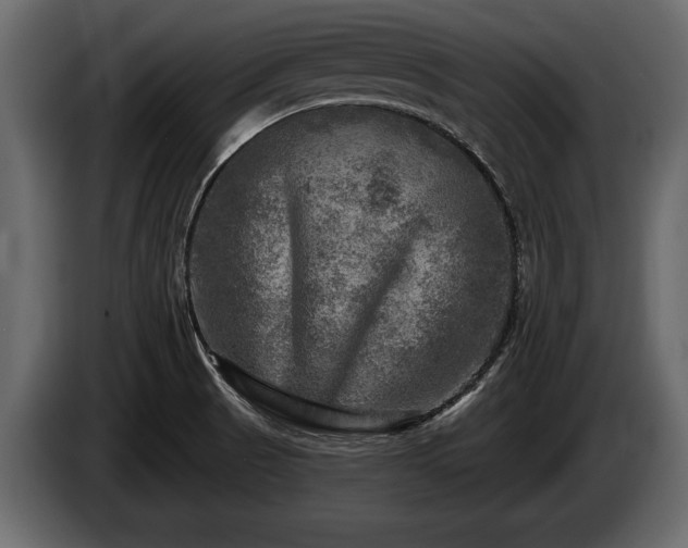 X0000085771521200703231212