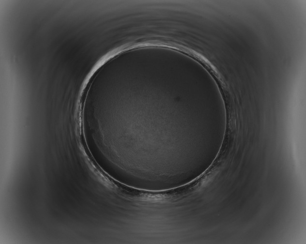 X0000085771522200703231212