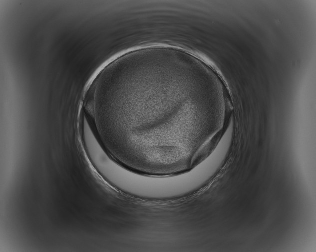 X0000085771524200703231212