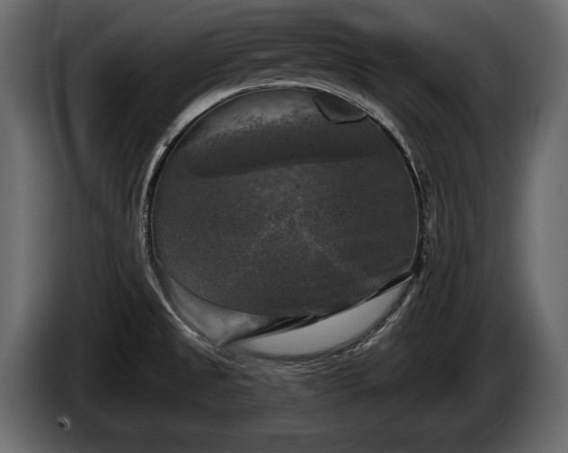 X0000085771525200703231212