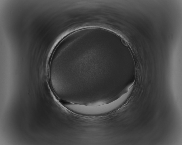 X0000085771527200703231212