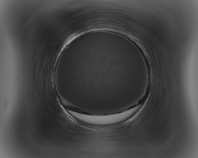 X0000085771529200703231212