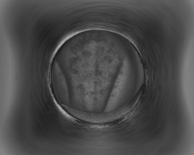 X0000085771531200703231212