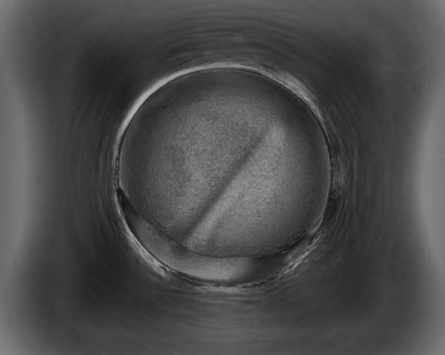 X0000085771532200703231212