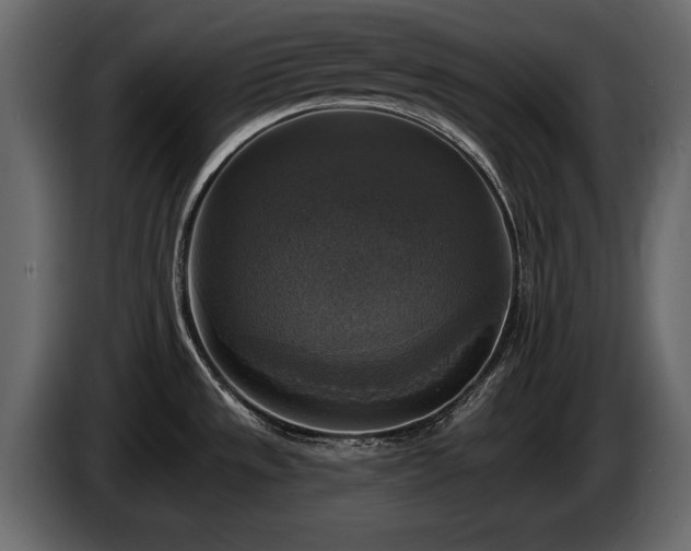 X0000085771533200703231212