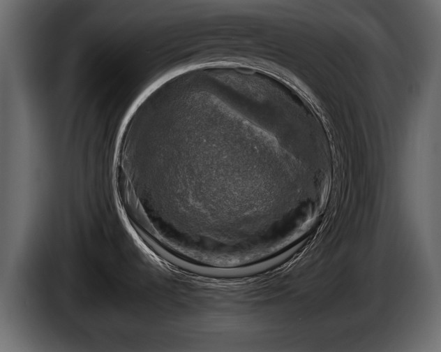 X0000085771536200703231212