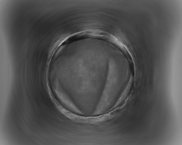 X0000085770001200703301413