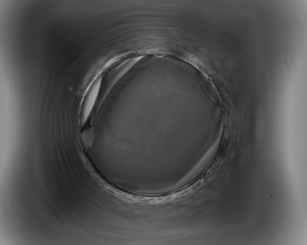 X0000085770002200703301413