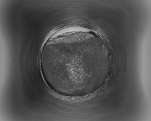 X0000085770003200703301413