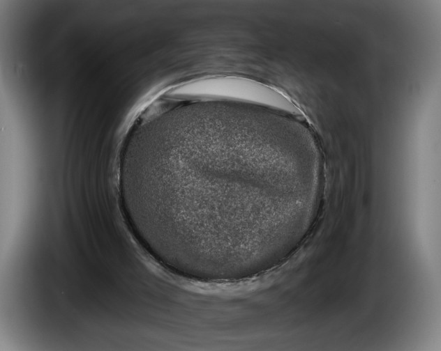 X0000085770005200703301413