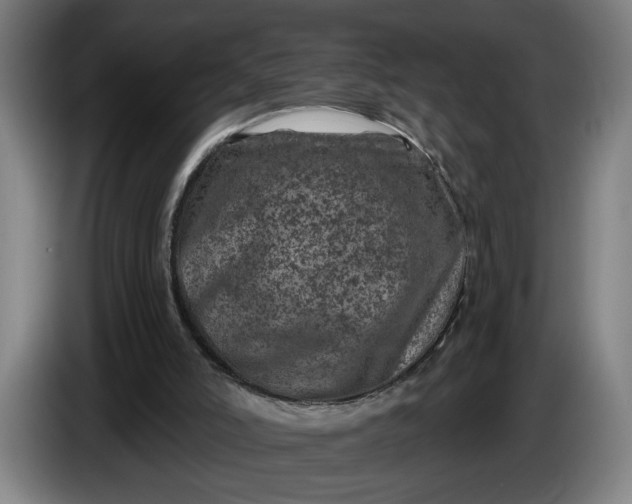 X0000085770006200703301413