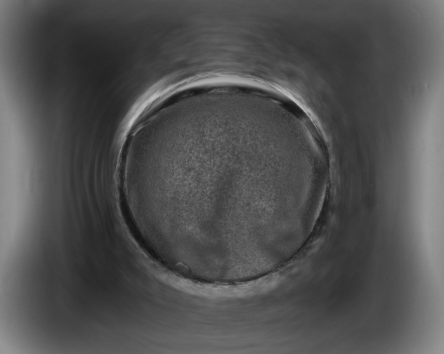 X0000085770007200703301413