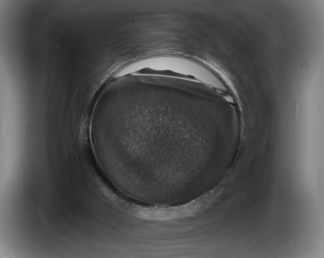 X0000085770009200703301413