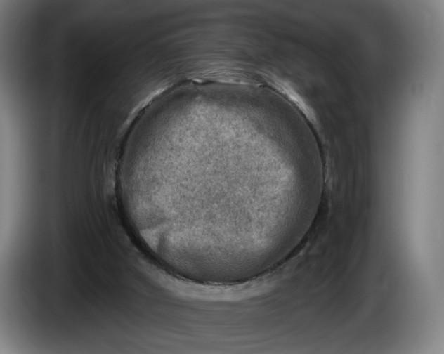 X0000085770010200703301413