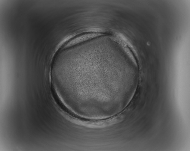 X0000085770011200703301413