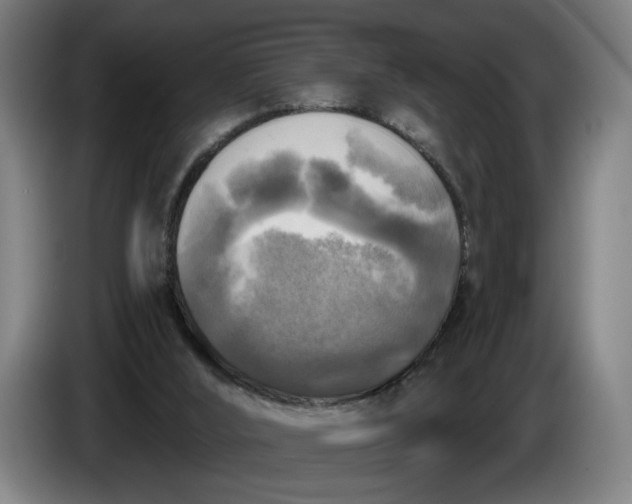 X0000085770012200703301413