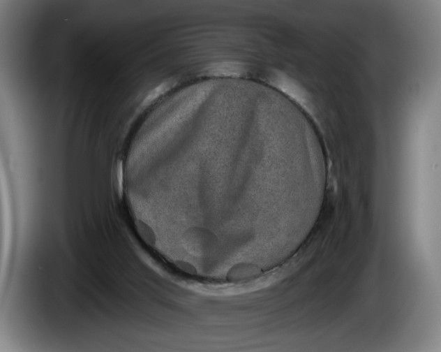 X0000085770013200703301413