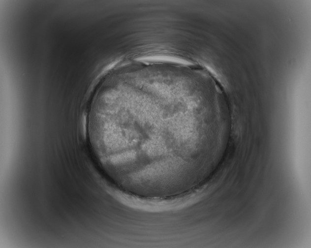 X0000085770014200703301413