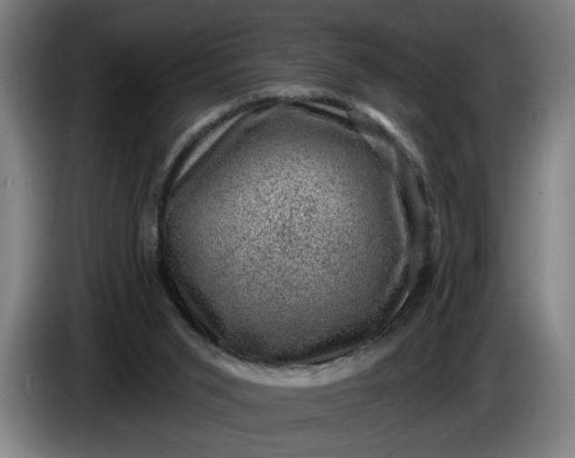 X0000085770015200703301413