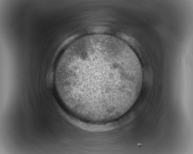 X0000085770016200703301413