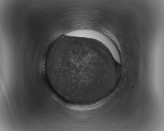 X0000085770017200703301413