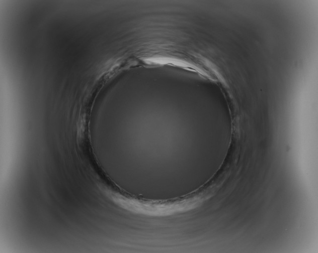 X0000085770018200703301413