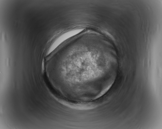 X0000085770020200703301413