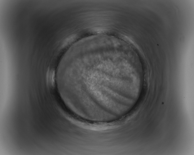 X0000085770024200703301413