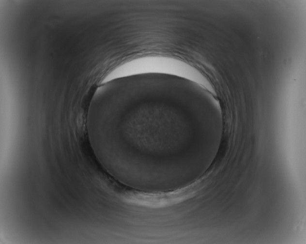 X0000085770029200703301413