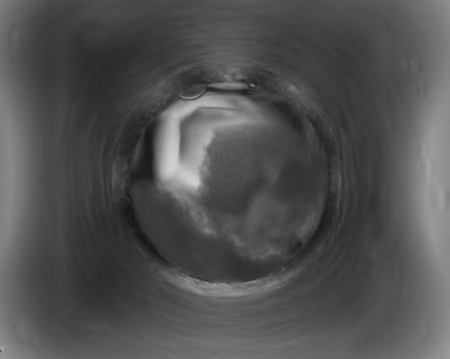 X0000085770030200703301413