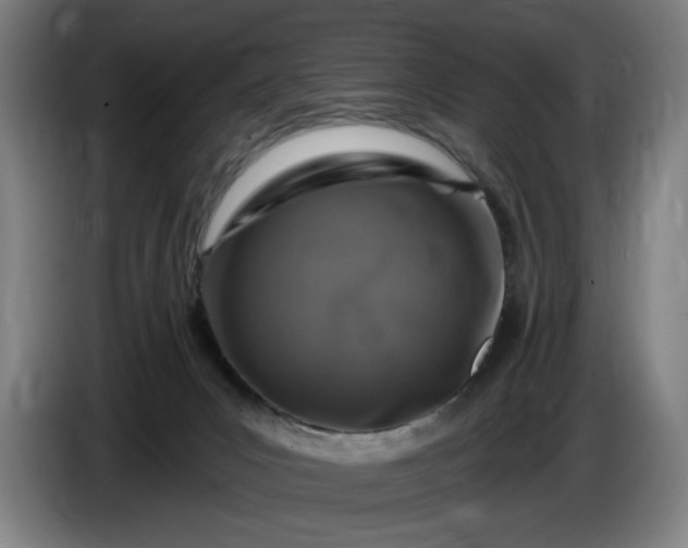 X0000085770031200703301413