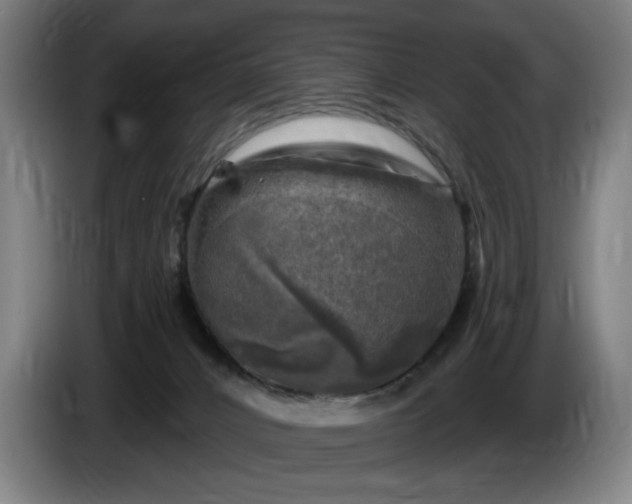 X0000085770032200703301413