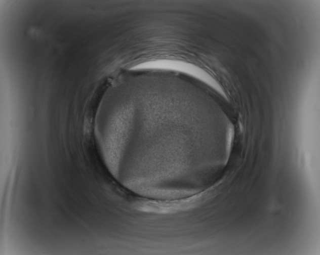 X0000085770033200703301413