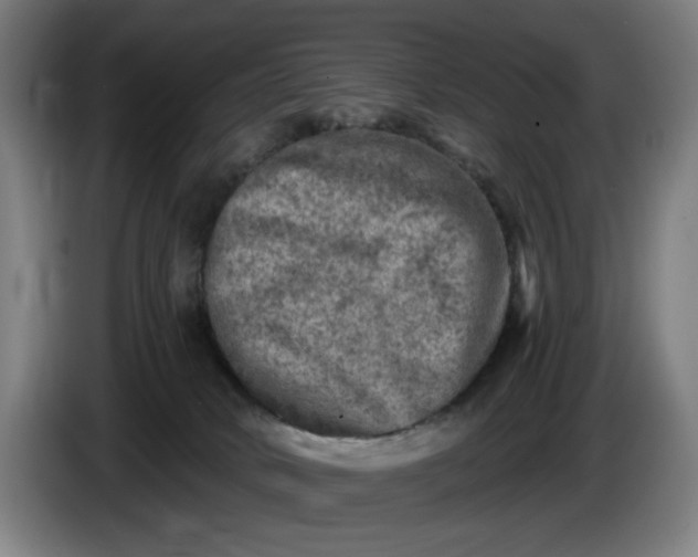 X0000085770034200703301413