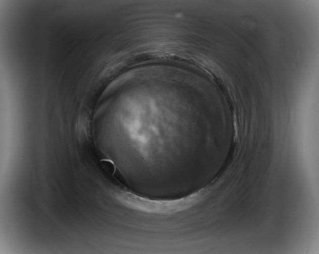 X0000085770035200703301413