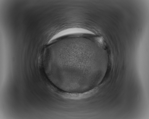 X0000085770037200703301413