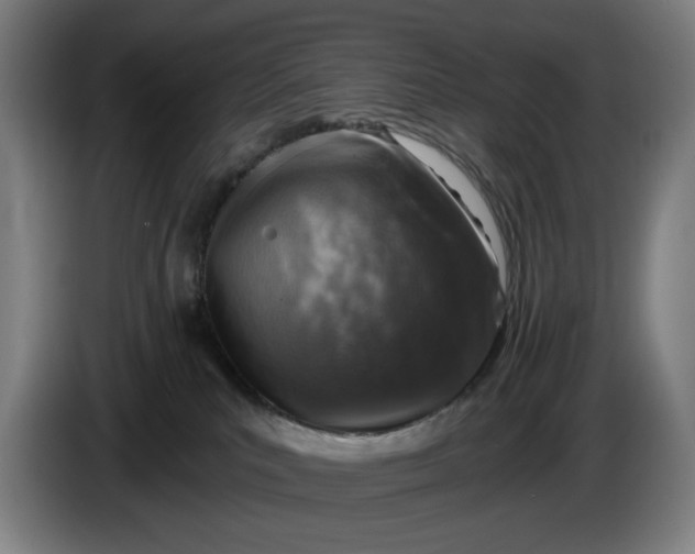 X0000085770039200703301413