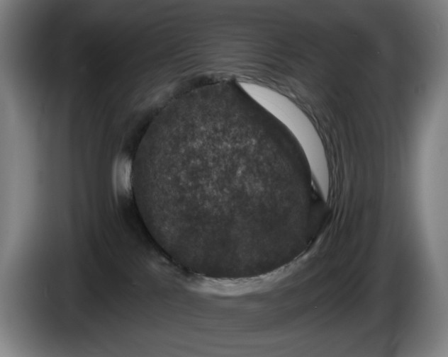 X0000085770041200703301413