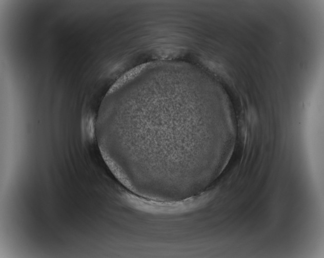 X0000085770042200703301413