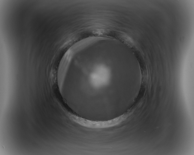 X0000085770043200703301413