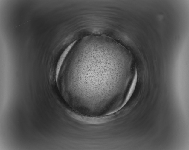 X0000085770044200703301413