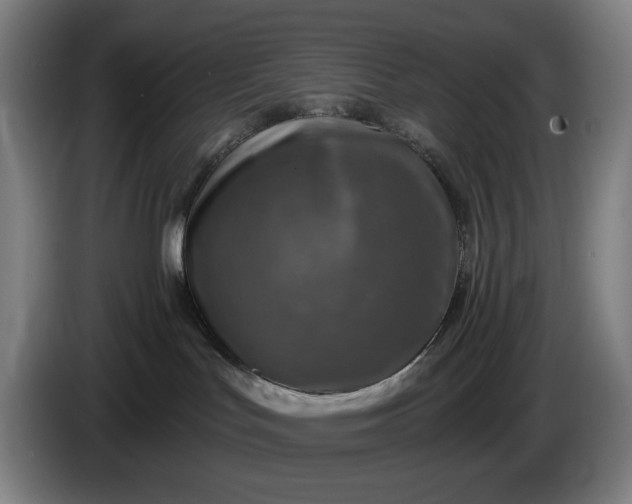 X0000085770047200703301413