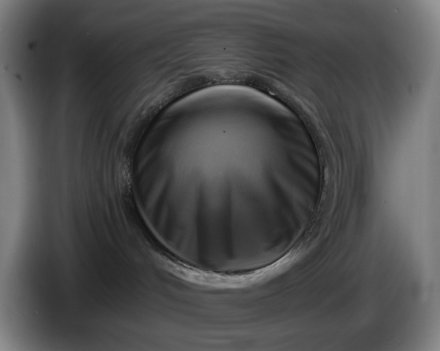 X0000085770048200703301413